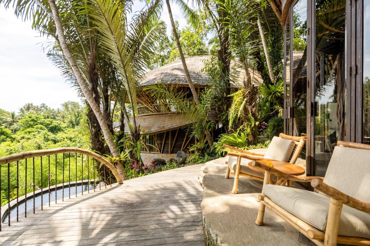 Eclipse House 4bds Eco Bamboo House Pool Riverview * Bringkit