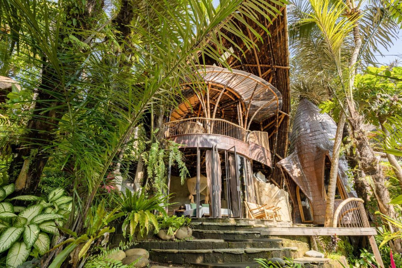 Eclipse House 4bds Eco Bamboo House Pool Riverview * Bringkit