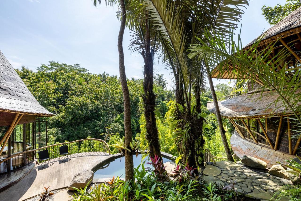 Eclipse House 4bds Eco Bamboo House Pool Riverview * Bringkit