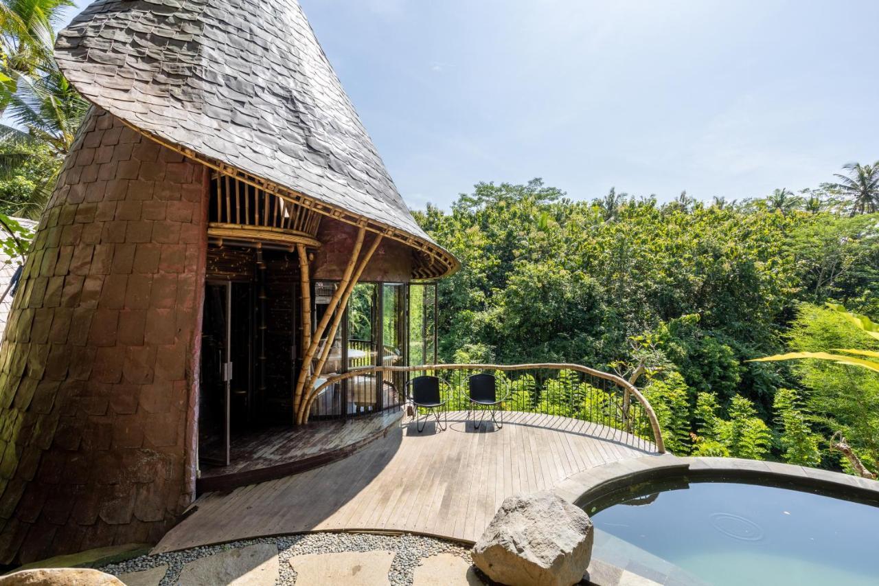 Eclipse House 4bds Eco Bamboo House Pool Riverview * Bringkit