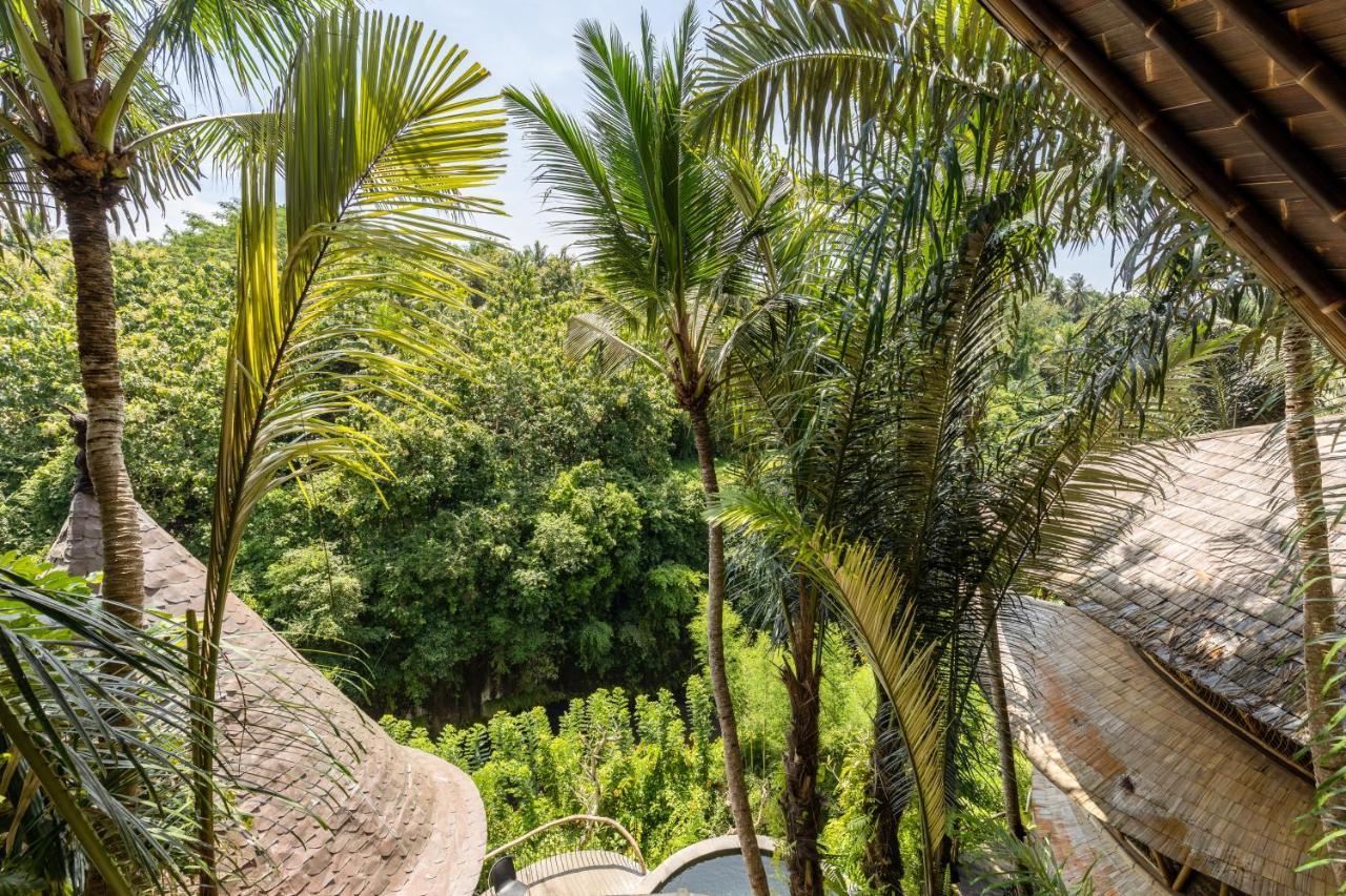 Villa Eclipse House 4bds Eco Bamboo House Pool Riverview *