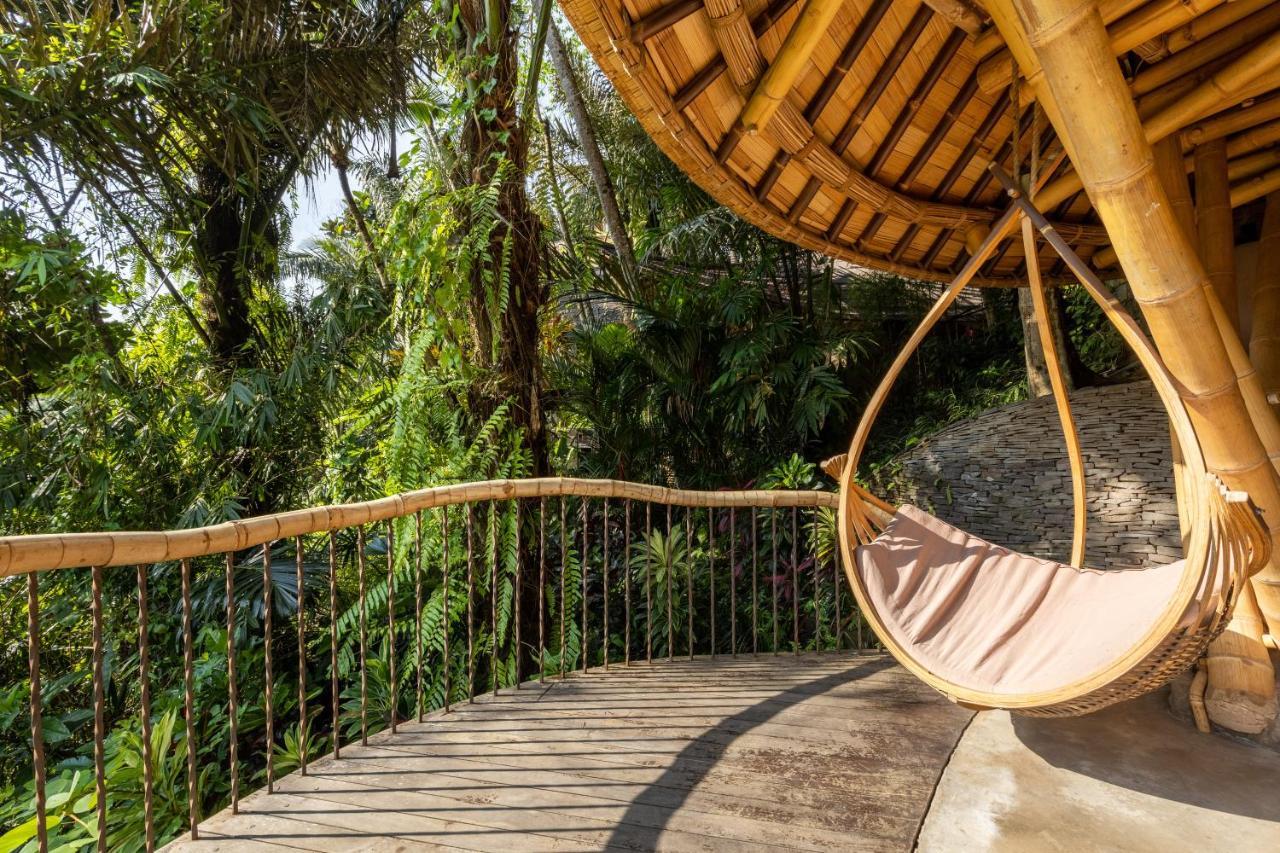 Eclipse House 4bds Eco Bamboo House Pool Riverview * Bringkit