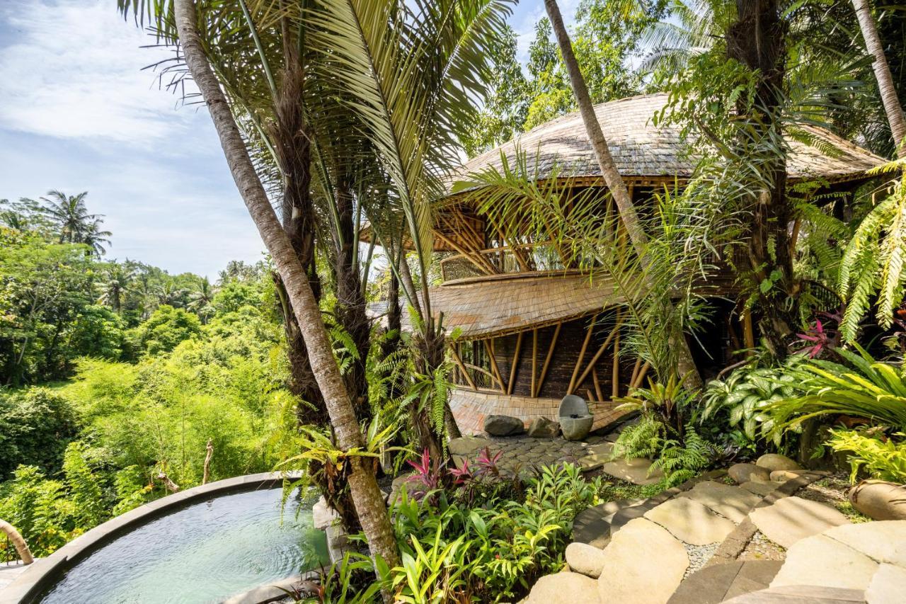 Villa Eclipse House 4bds Eco Bamboo House Pool Riverview *