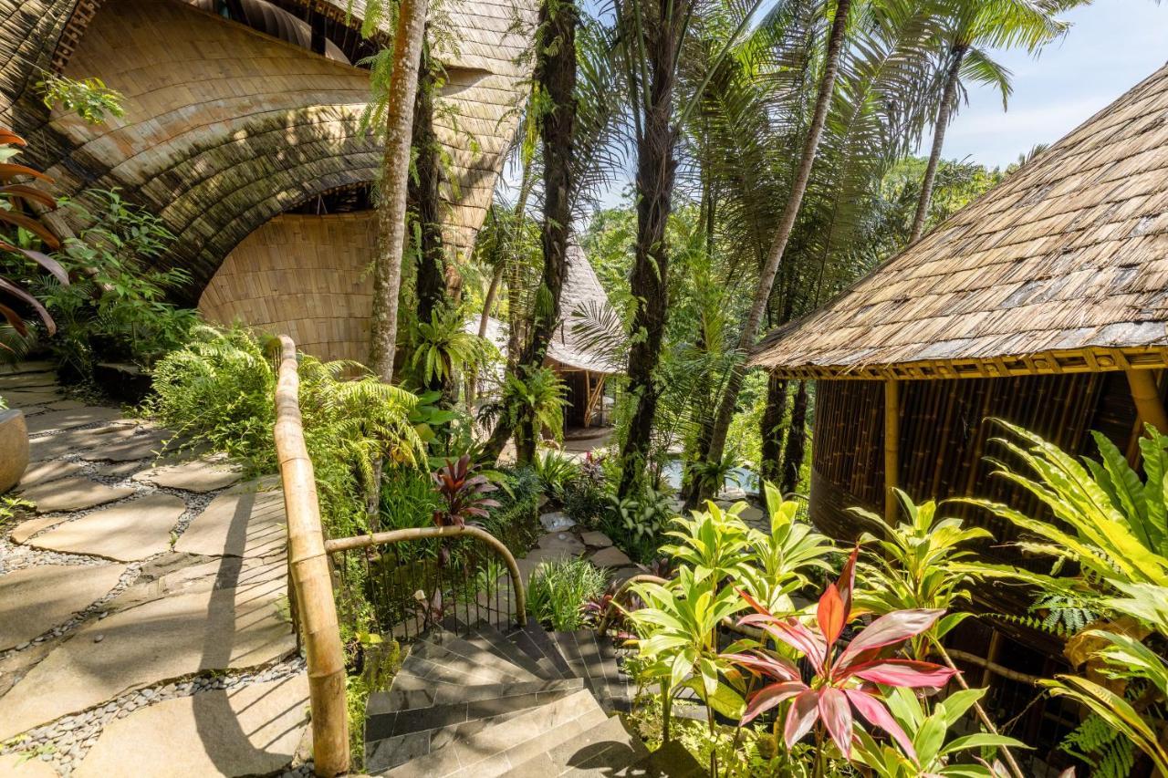 Eclipse House 4bds Eco Bamboo House Pool Riverview *