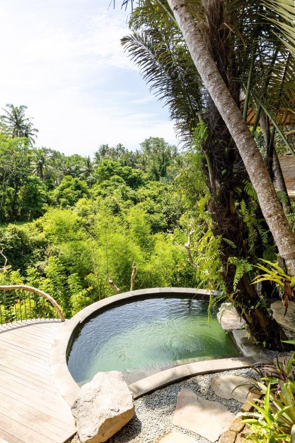 Eclipse House 4bds Eco Bamboo House Pool Riverview Bringkit