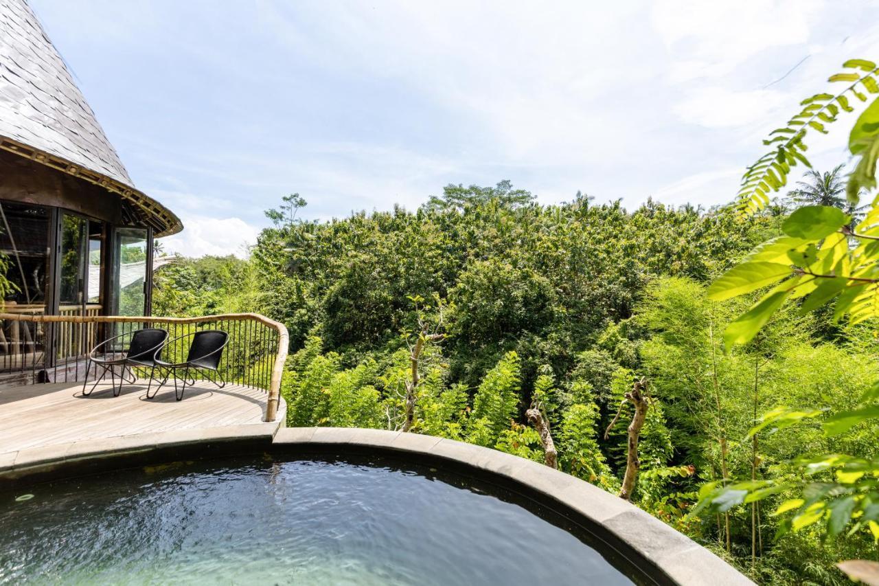 Eclipse House 4bds Eco Bamboo House Pool Riverview *